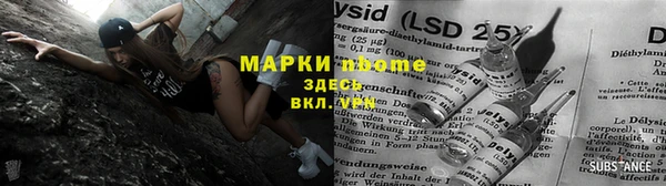 стаф Алзамай