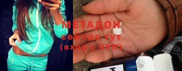 стаф Алзамай