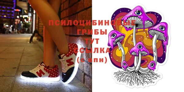 стаф Алзамай