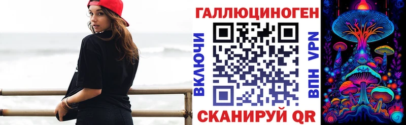 закладки  мега как зайти  Псилоцибиновые грибы мухоморы  Новозыбков 